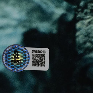 Elijah Wood & Sean Astin (Herr der Ringe) 28x36 cm Autogramm mit COA (Beckett)