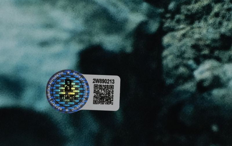 Elijah Wood & Sean Astin (Herr der Ringe) 28x36 cm Autogramm mit COA (Beckett)